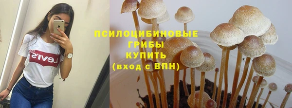 кокс Костерёво