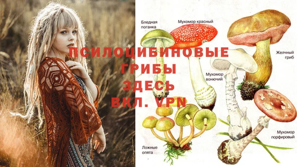 кокс Костерёво