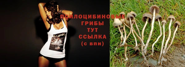 кокс Костерёво